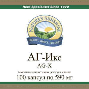 АГ-Икс НСП
