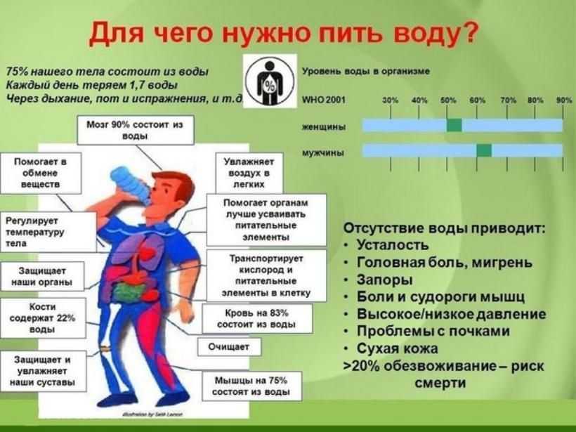 Реабилитация ЖКТ. Алгоритм Антилевского.