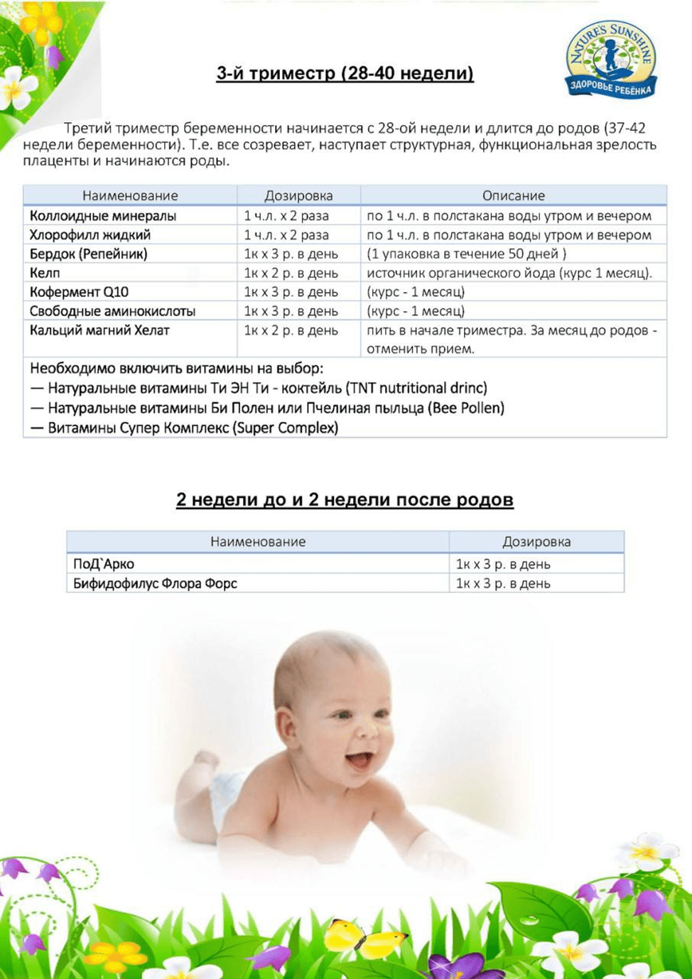 Беременность. Развитие плода и витамины.